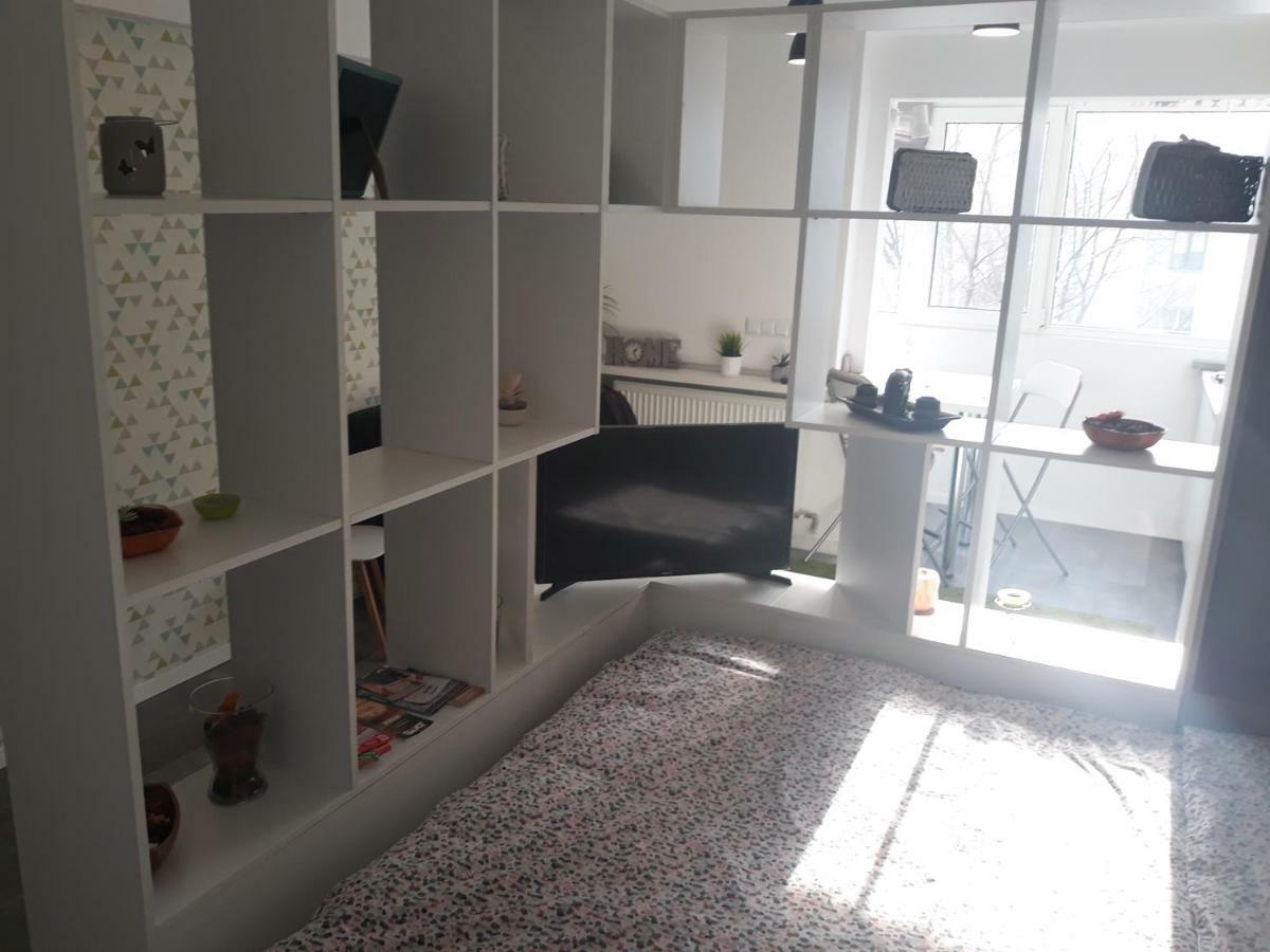 Cozy Central Studio Бухарест Екстер'єр фото